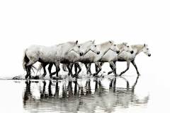 Park City Gallery Association - David Beavis K. Fine Art