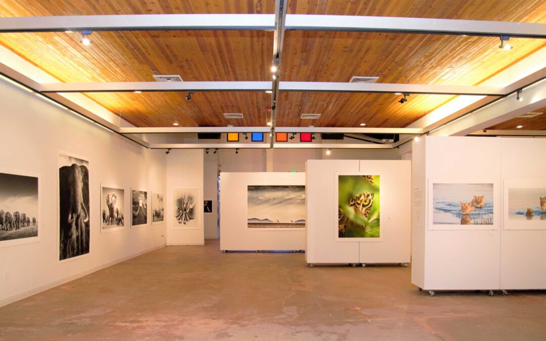 Park City Gallery Association: Kimball Art Center