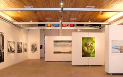 Kimball Art Center: Exhibitions and Events